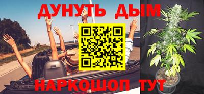эйфоретик Жуковский