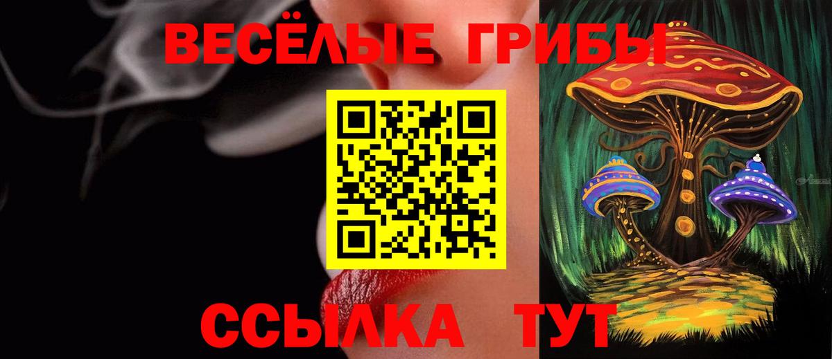 Псилоцибиновые грибы ЛСД Истра